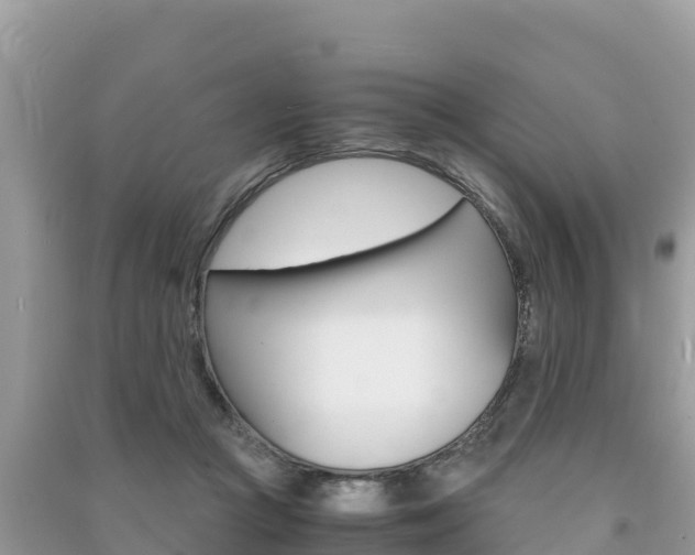 X0000091300361200708101053