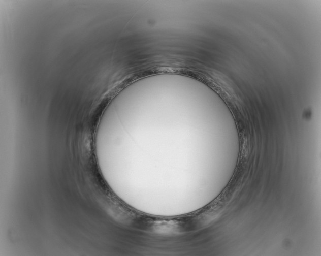 X0000091300363200708101053
