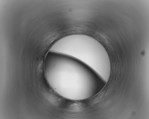 X0000091300364200708101053