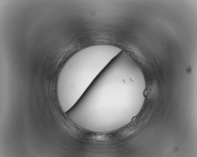 X0000091300365200708101053