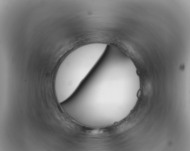 X0000091300366200708101053