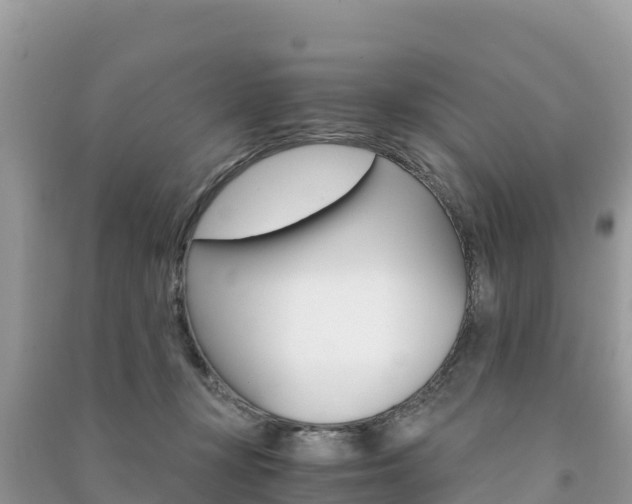 X0000091300367200708101053