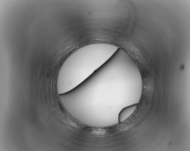 X0000091300369200708101053