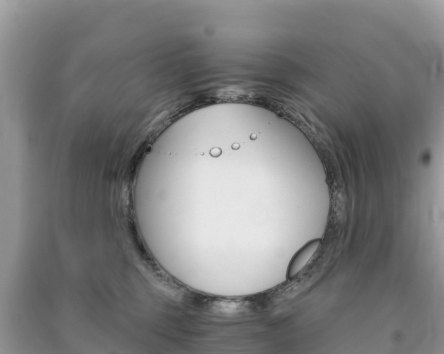 X0000091300375200708101053