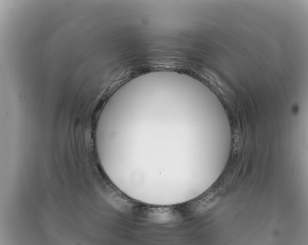 X0000091300377200708101053