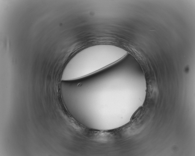 X0000091300379200708101053