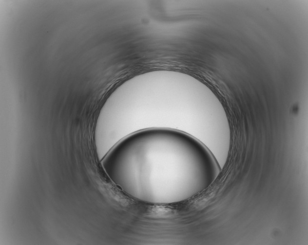 X0000091300380200708101053