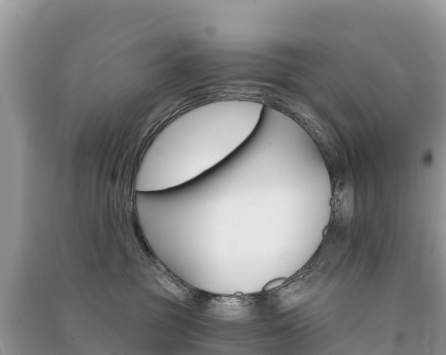 X0000091300381200708101053
