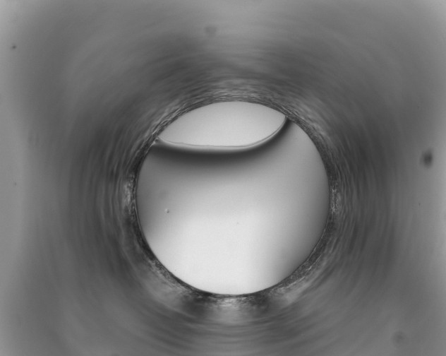 X0000091300382200708101053