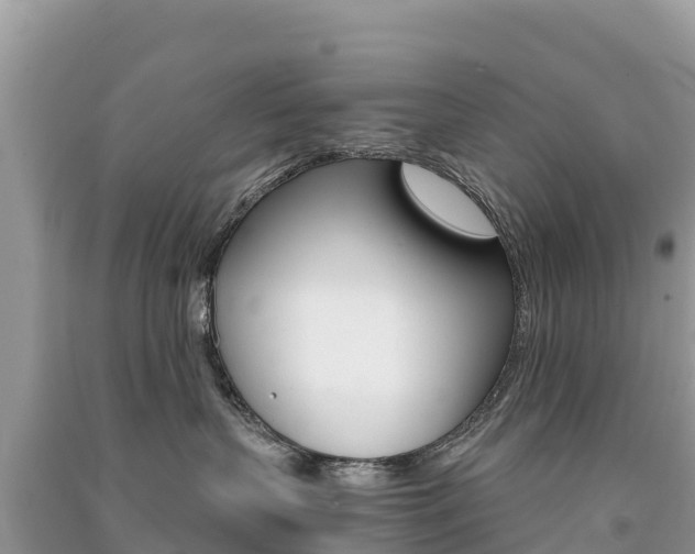 X0000091300383200708101053