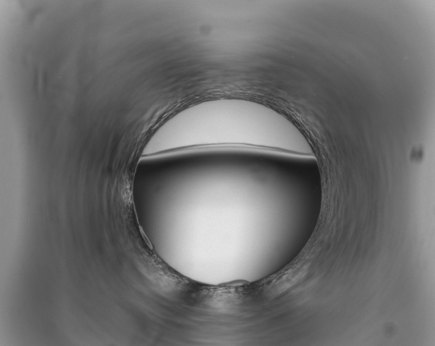 X0000091300384200708101053