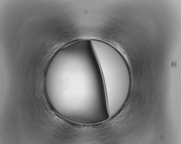 X0000091300385200708101053