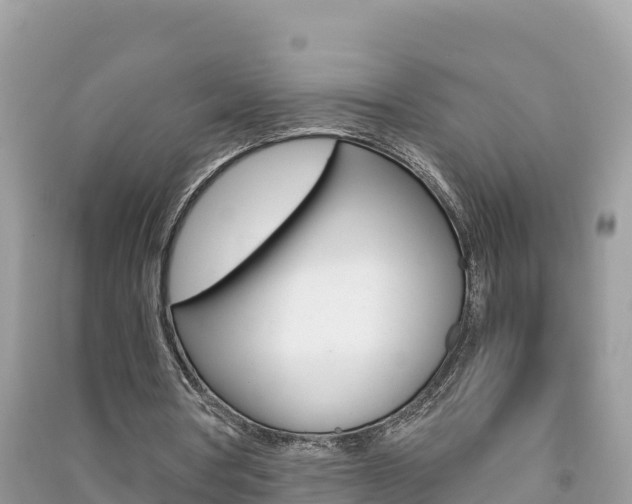 X0000091300386200708101053