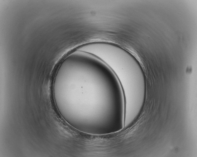 X0000091300387200708101053