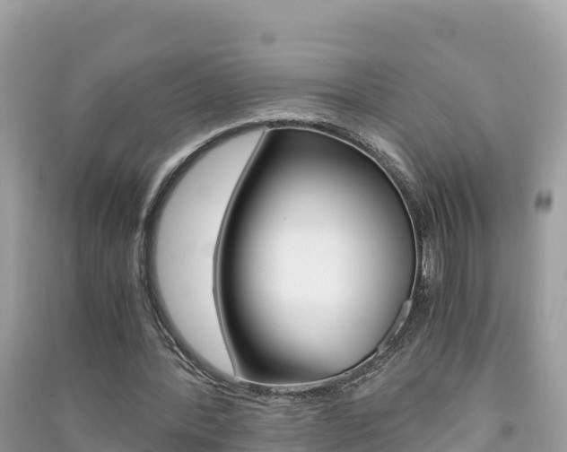 X0000091300388200708101052