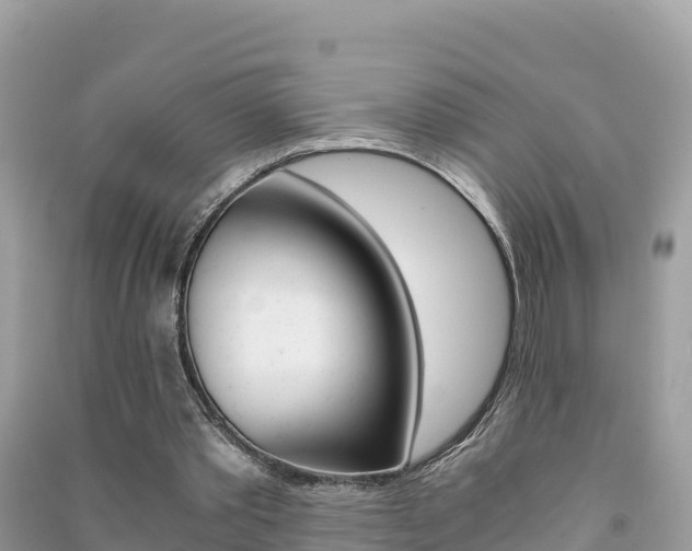 X0000091300389200708101052
