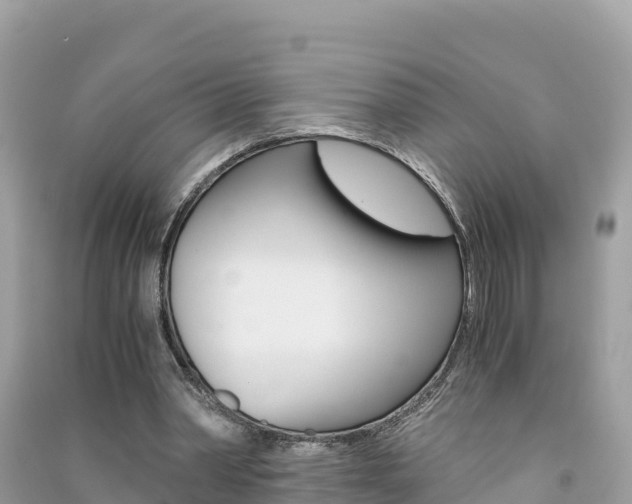 X0000091300390200708101052