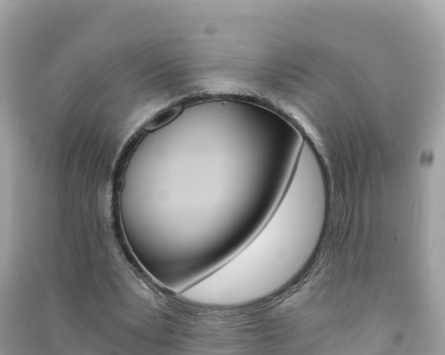 X0000091300391200708101052