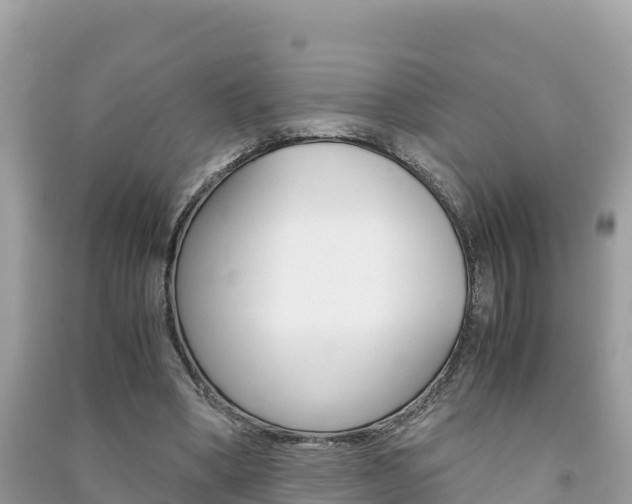 X0000091300394200708101052
