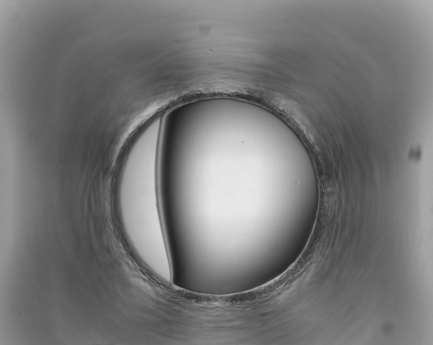 X0000091300395200708101052