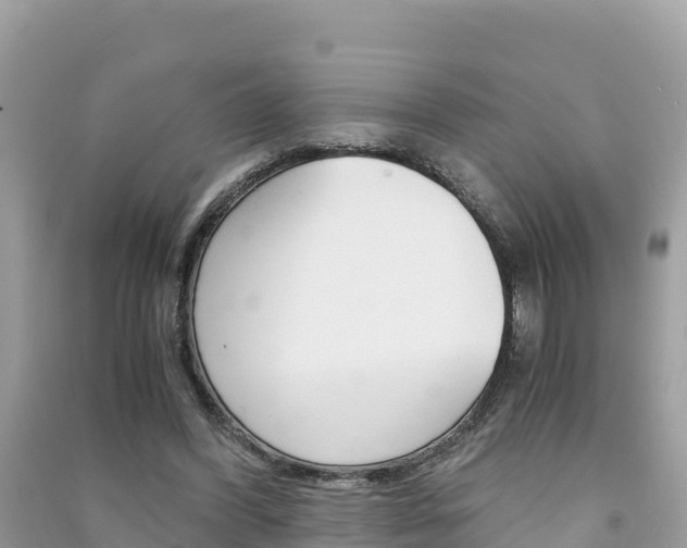 X0000091300396200708101052