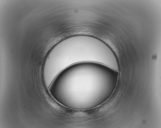 X0000091300397200708101052