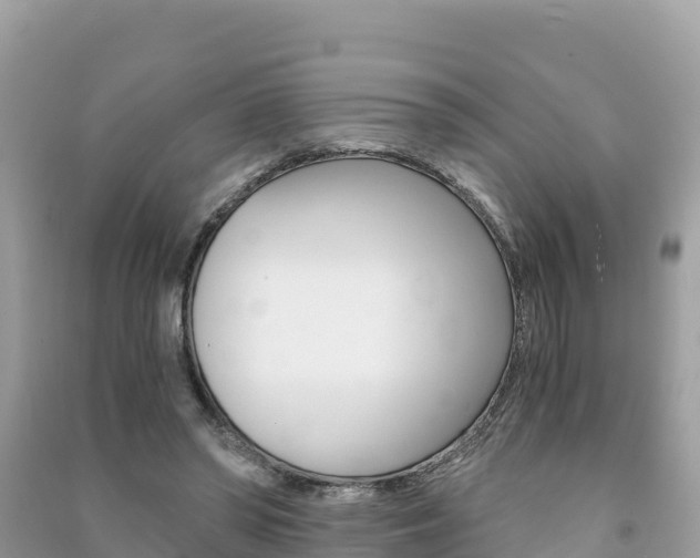 X0000091300398200708101052