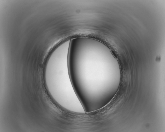 X0000091300399200708101052