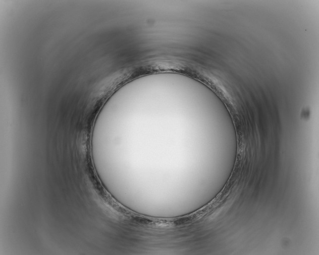 X0000091300402200708101052