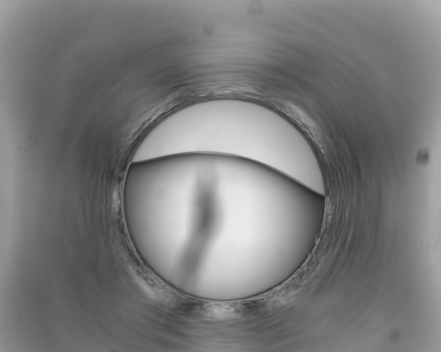 X0000091300405200708101052