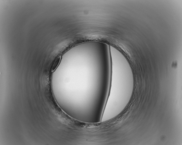 X0000091300407200708101052