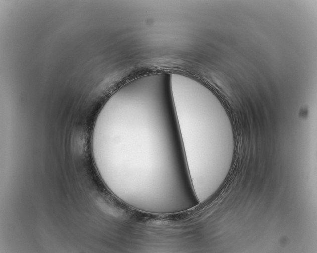 X0000091300408200708101052
