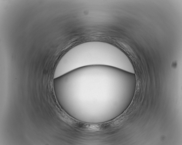 X0000091300409200708101052
