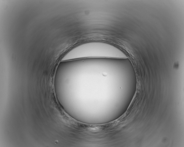 X0000091300411200708101052