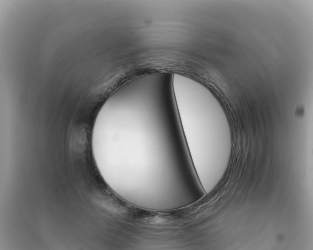 X0000091300412200708101052