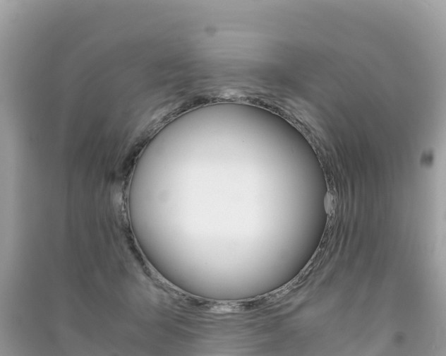 X0000091300415200708101052