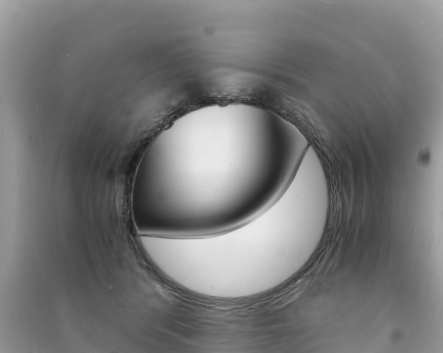 X0000091300416200708101052