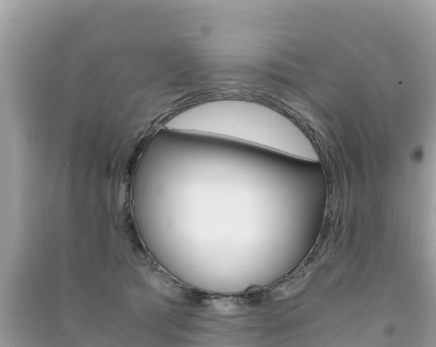 X0000091300417200708101052