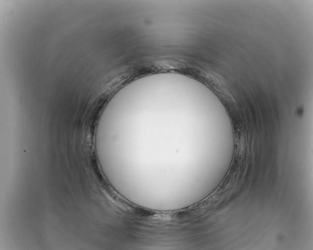 X0000091300418200708101052