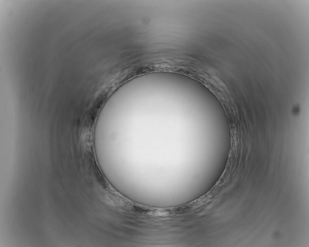 X0000091300419200708101052