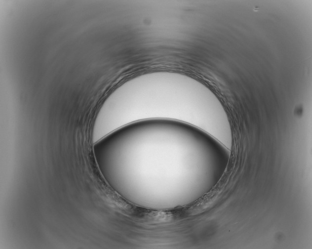 X0000091300421200708101052