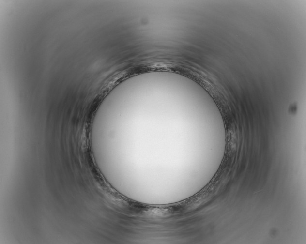 X0000091300422200708101052