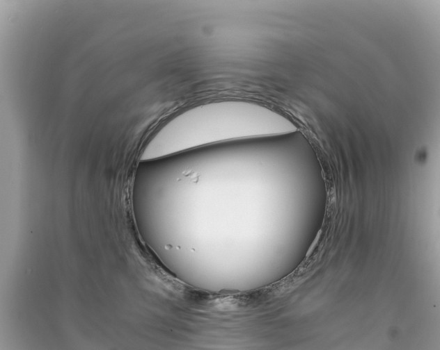 X0000091300423200708101052