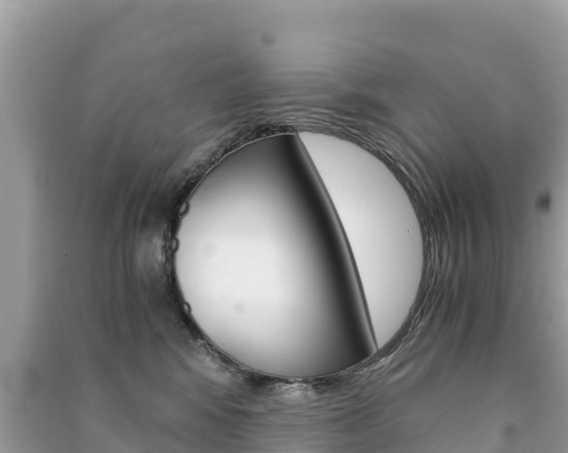 X0000091300424200708101052