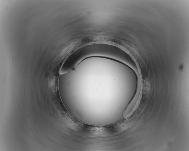 X0000091300428200708101052