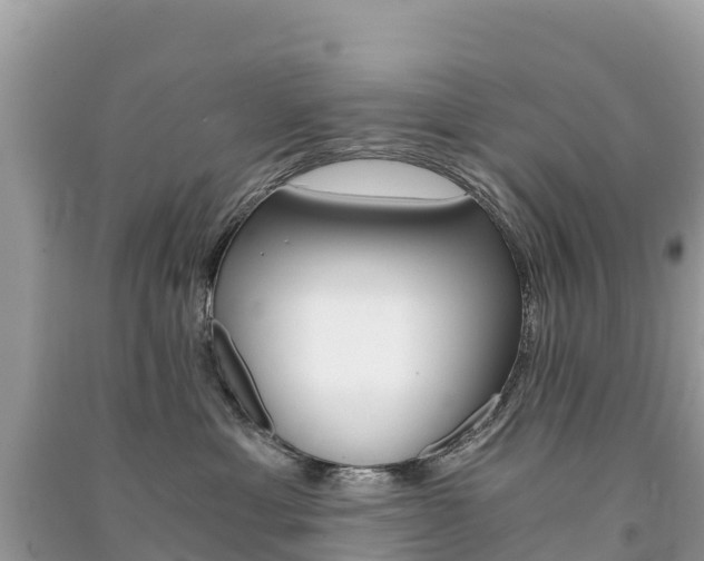 X0000091300429200708101052