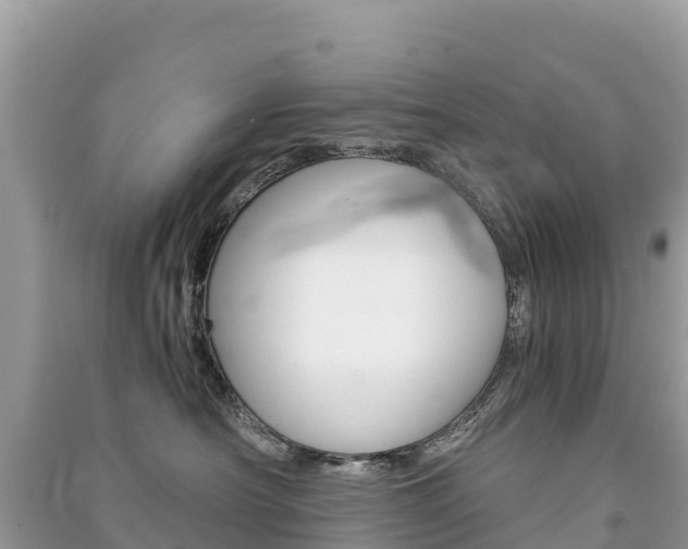 X0000091300430200708101052