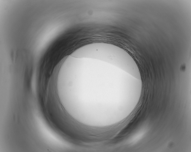 X0000091300431200708101052