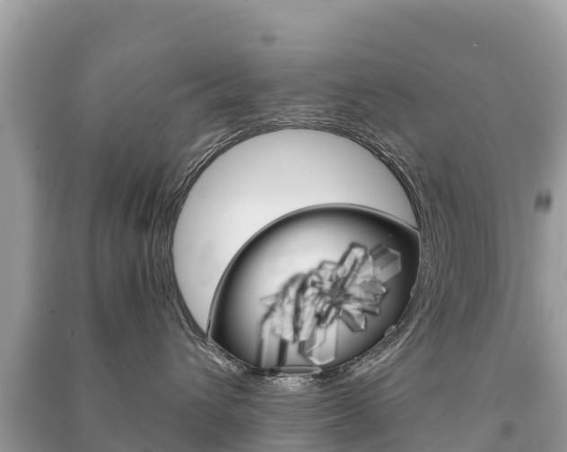 X0000091300432200708101052