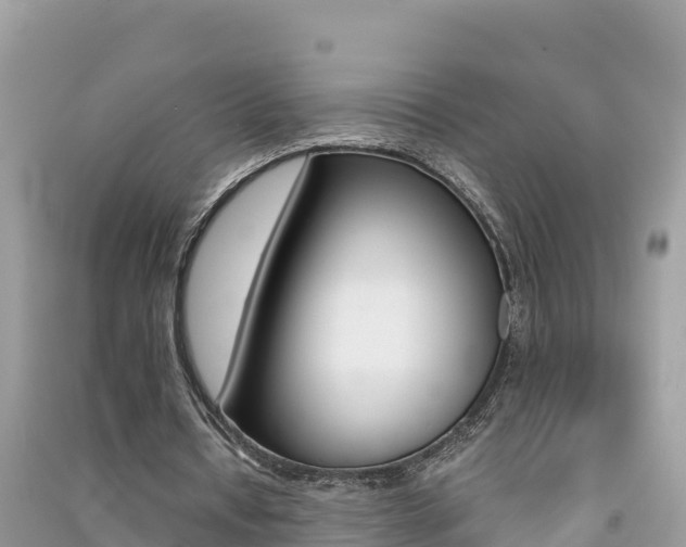X0000091300434200708101051